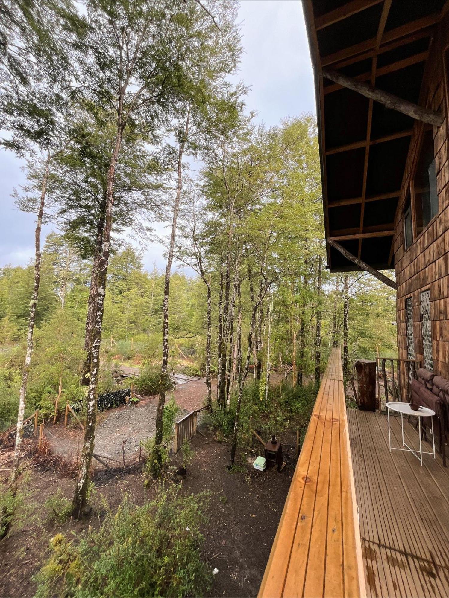 La Colmena Eco Lodge لا إنسينادا المظهر الخارجي الصورة